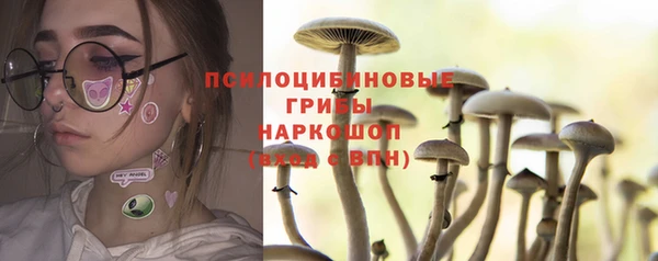 спайс Беломорск