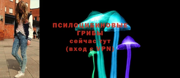 спайс Беломорск