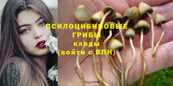 спайс Беломорск