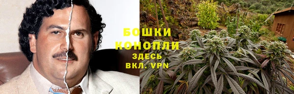 спайс Беломорск